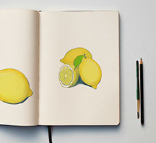 RHP Lemon Illustration