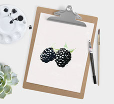 RHP Blackberry Illustration
