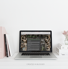 RHP Renaissance Diary Homescreen Photograph